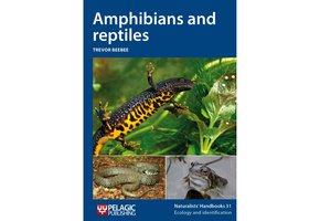 Amphibians and reptiles