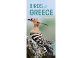 Pocket Photo Guide to the Birds of Greece