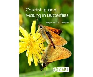 Courtship and Mating in Butterflies - Veldshop.nl