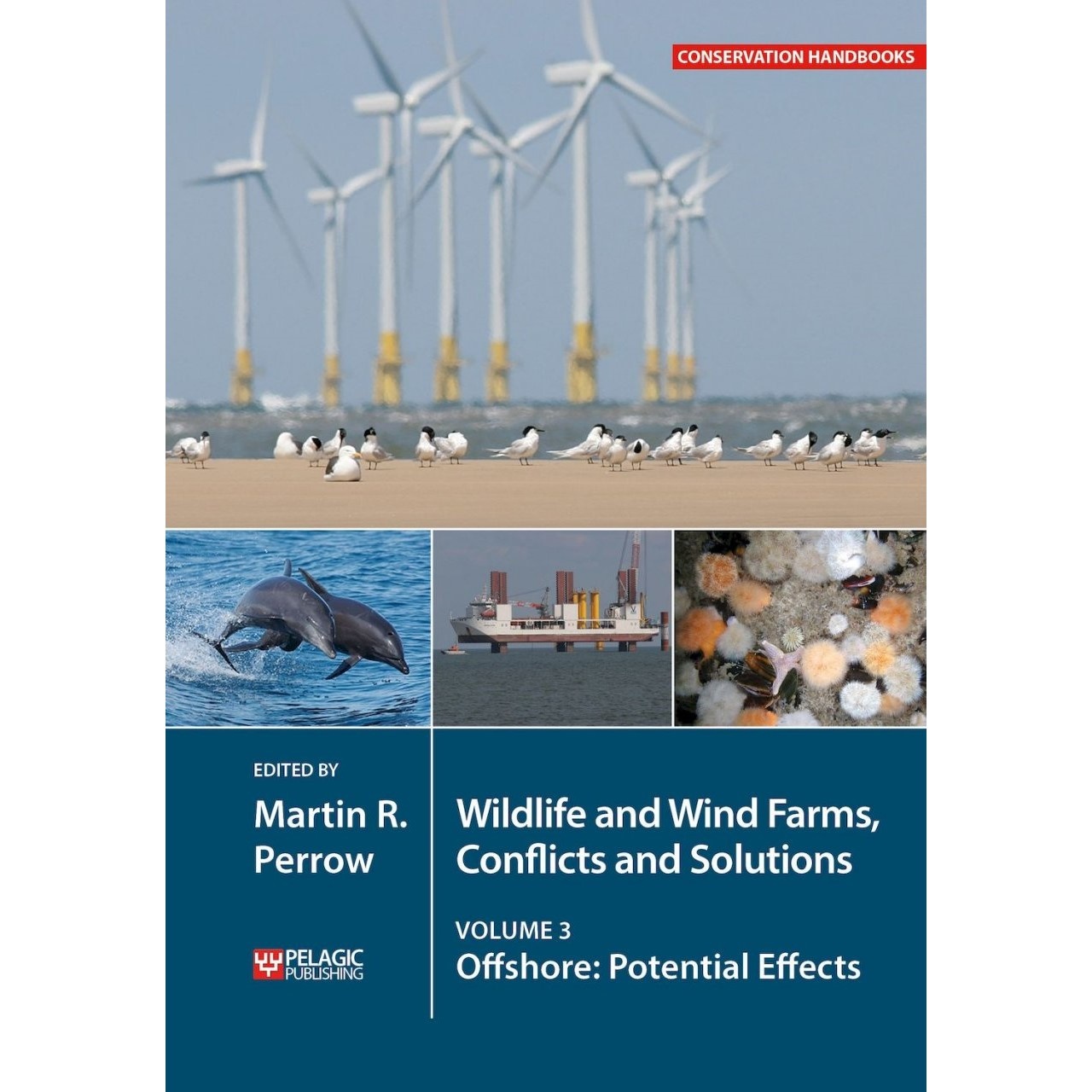 Wildlife and Wind Farms - Conflicts and Solutions, Volume 3 Offshore: Potential Effects