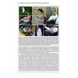 Wildlife and Wind Farms - Conflicts and Solutions, Volume 4 Offshore: Monitoring and Mitigation