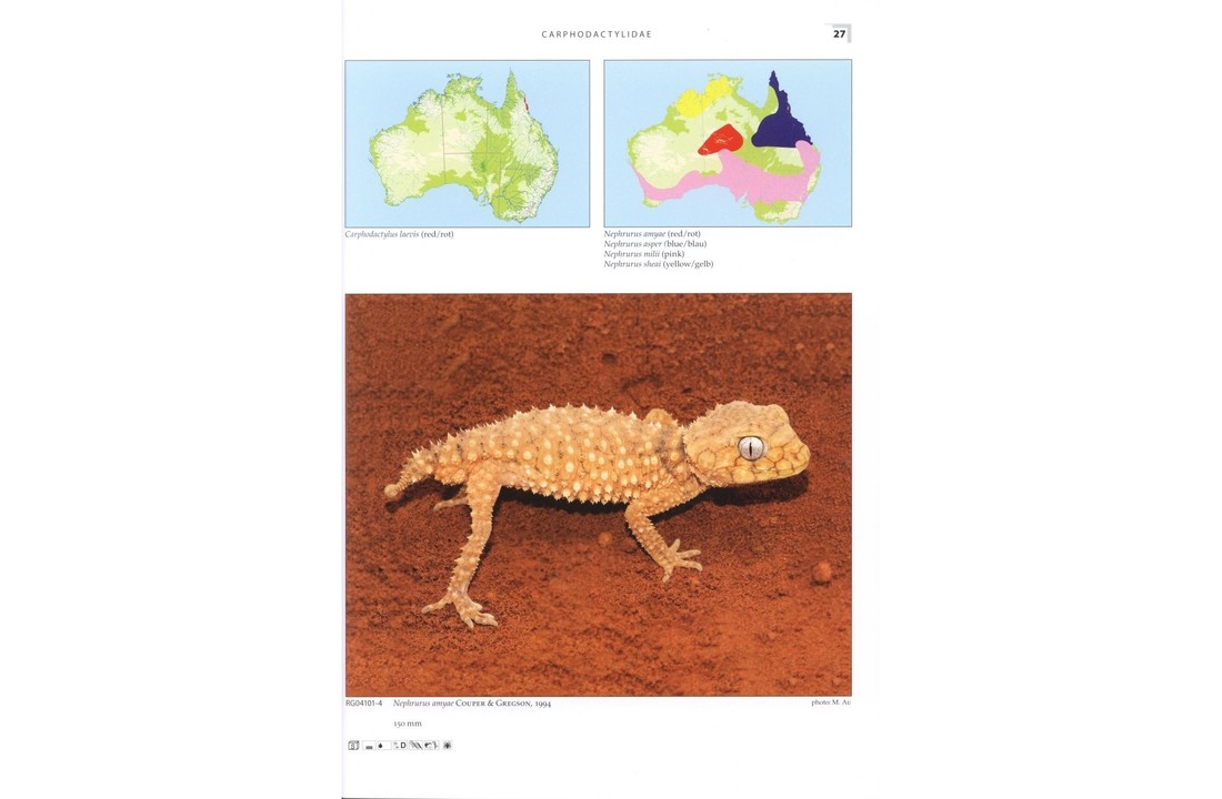 Terralog 10: Geckos of Australia/Geckos Australiens