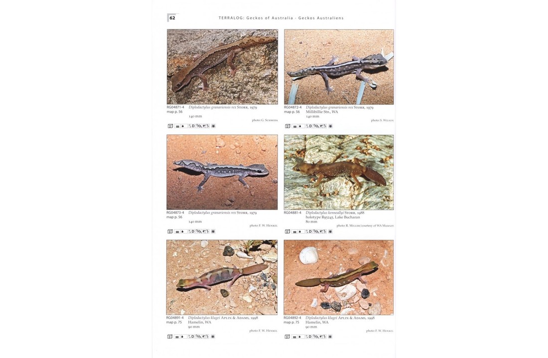 Terralog 10: Geckos of Australia/Geckos Australiens