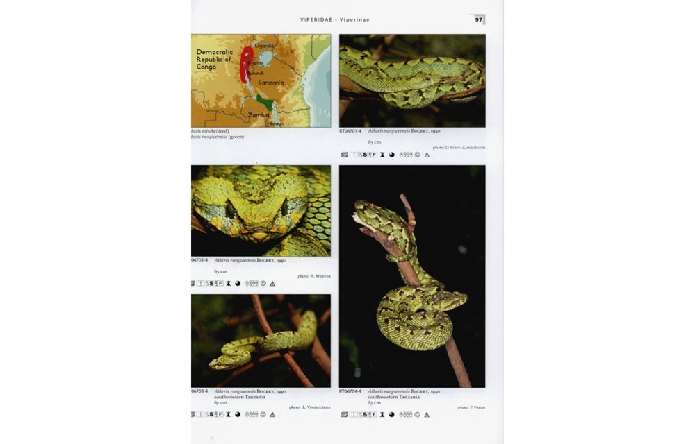 Terralog 15: Venomous Snakes of Africa/Giftschlangen Afrikas