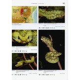 Terralog 15: Venomous Snakes of Africa/Giftschlangen Afrikas