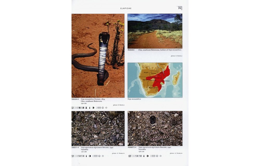 Terralog 15: Venomous Snakes of Africa/Giftschlangen Afrikas