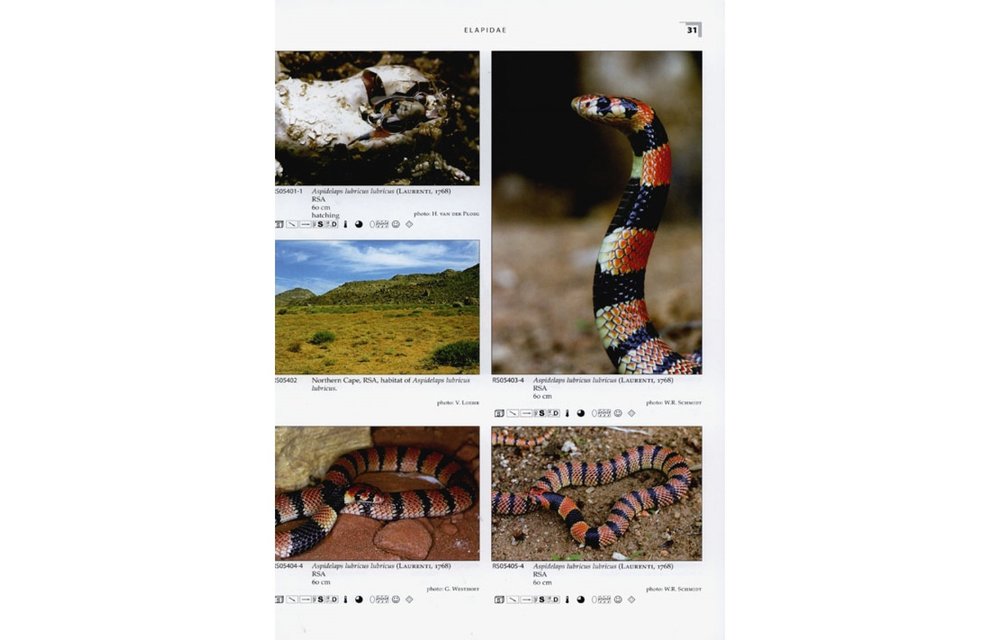 Terralog 15: Venomous Snakes of Africa/Giftschlangen Afrikas