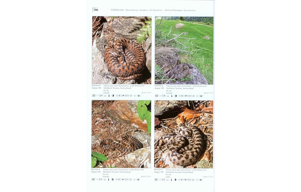Terralog 16: Venomous Snakes of Europe, Northern, Central and Western Asia/Giftschlangen Europas, Nord-, Zentral- und Westasiens