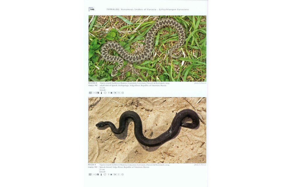 Terralog 16: Venomous Snakes of Europe, Northern, Central and Western Asia/Giftschlangen Europas, Nord-, Zentral- und Westasiens