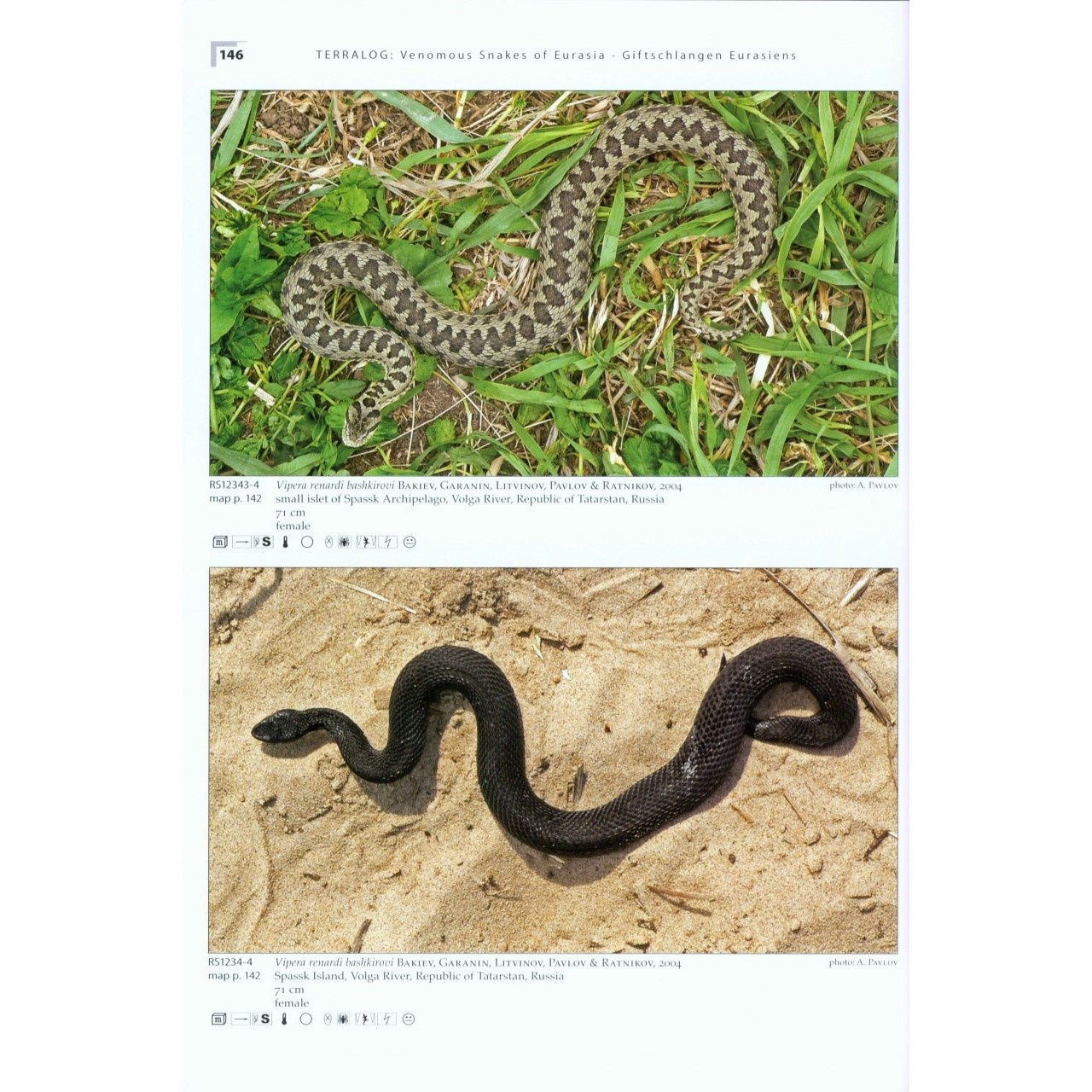 Terralog 16: Venomous Snakes of Europe, Northern, Central and Western Asia/Giftschlangen Europas, Nord-, Zentral- und Westasiens