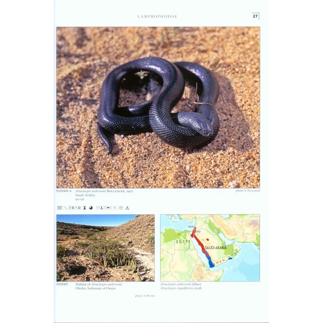 Terralog 16: Venomous Snakes of Europe, Northern, Central and Western Asia/Giftschlangen Europas, Nord-, Zentral- und Westasiens