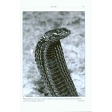 The Amphibians and Reptiles of the Western Sahara