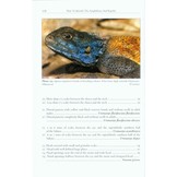 The Amphibians and Reptiles of the Western Sahara
