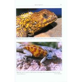 The Amphibians and Reptiles of the Western Sahara
