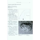 The Amphibians and Reptiles of the Western Sahara