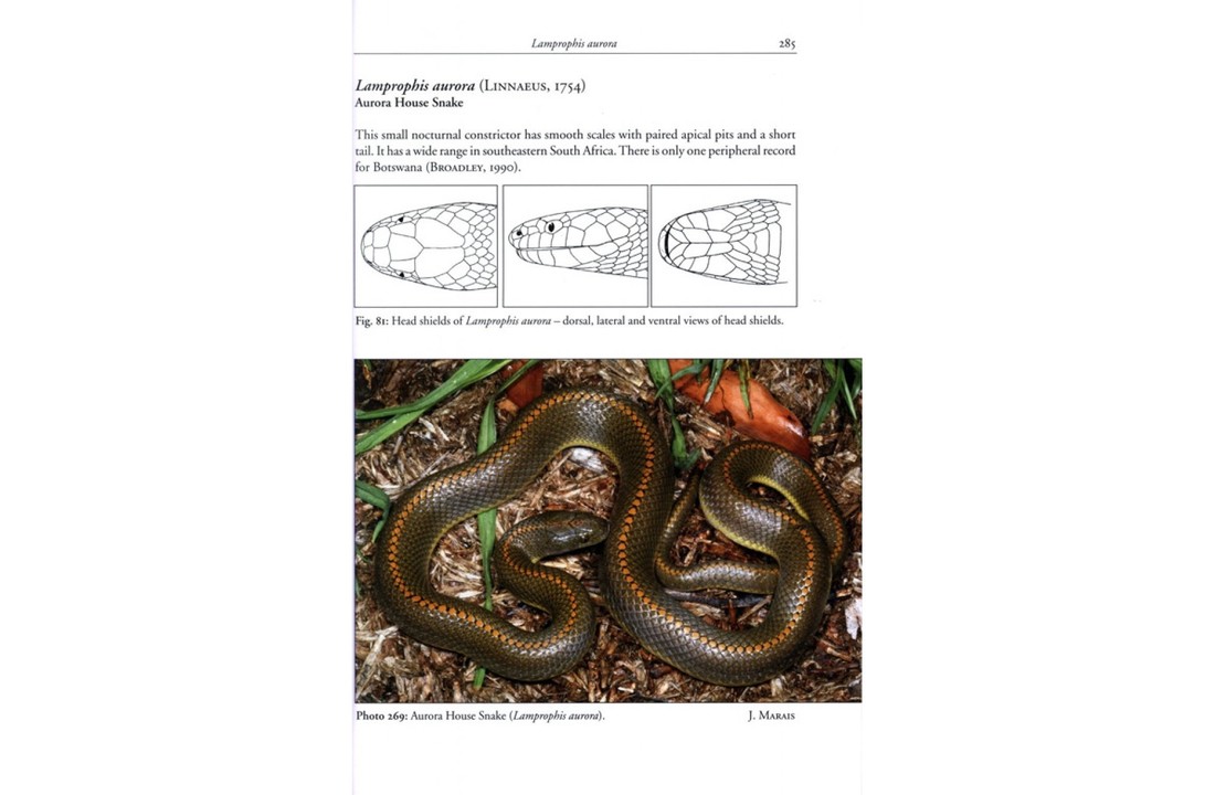 The Snakes of Zimbabwe and Botswana