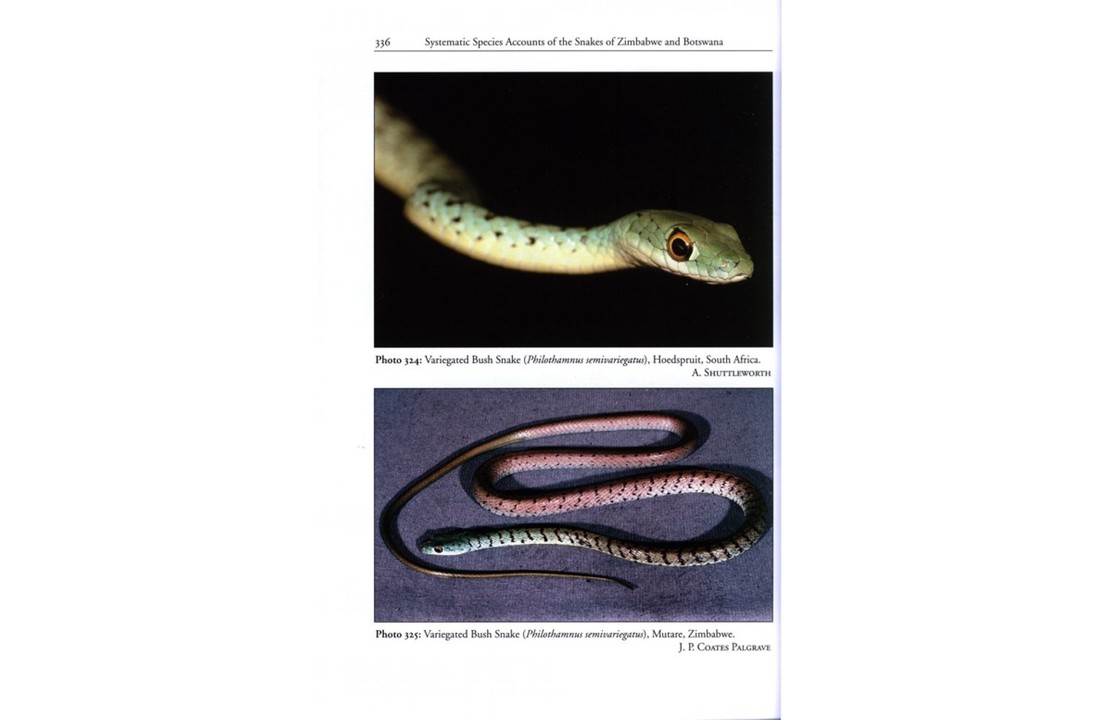 The Snakes of Zimbabwe and Botswana