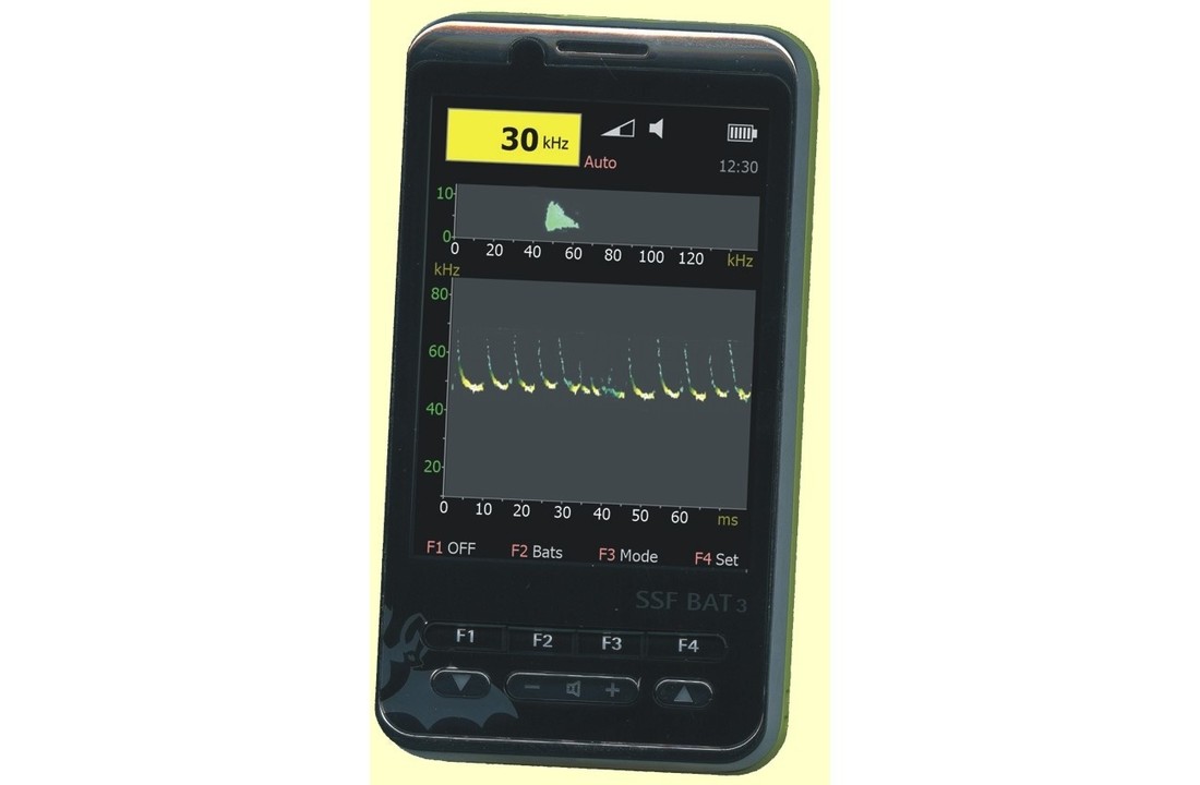 SSF Bat3 Detector