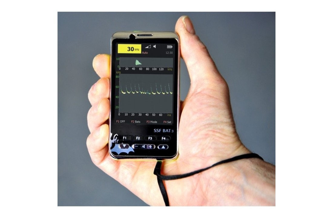SSF Bat3 Detector