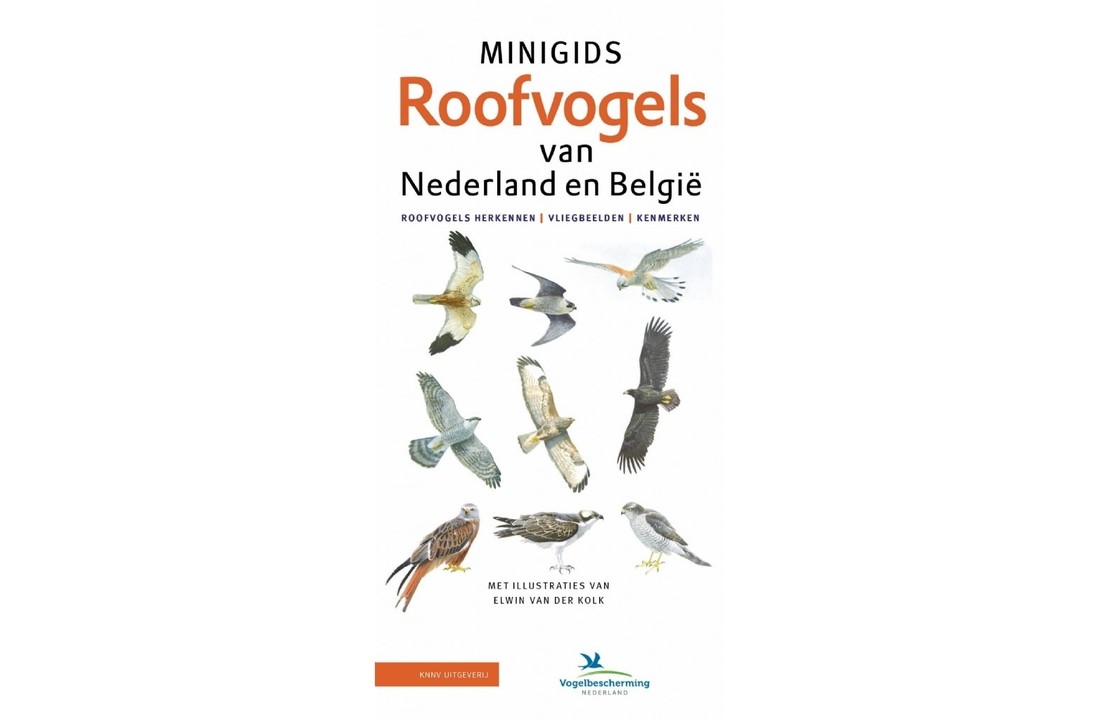 Minigids Roofvogels van Nederland en België - Roofvogels herkennen | vliegbeelden | kenmerken