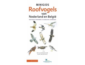 Minigids Roofvogels van Nederland en België