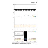 Is That a Bat? A Guide to Non-Bat Sounds Encountered During Bat Surveys