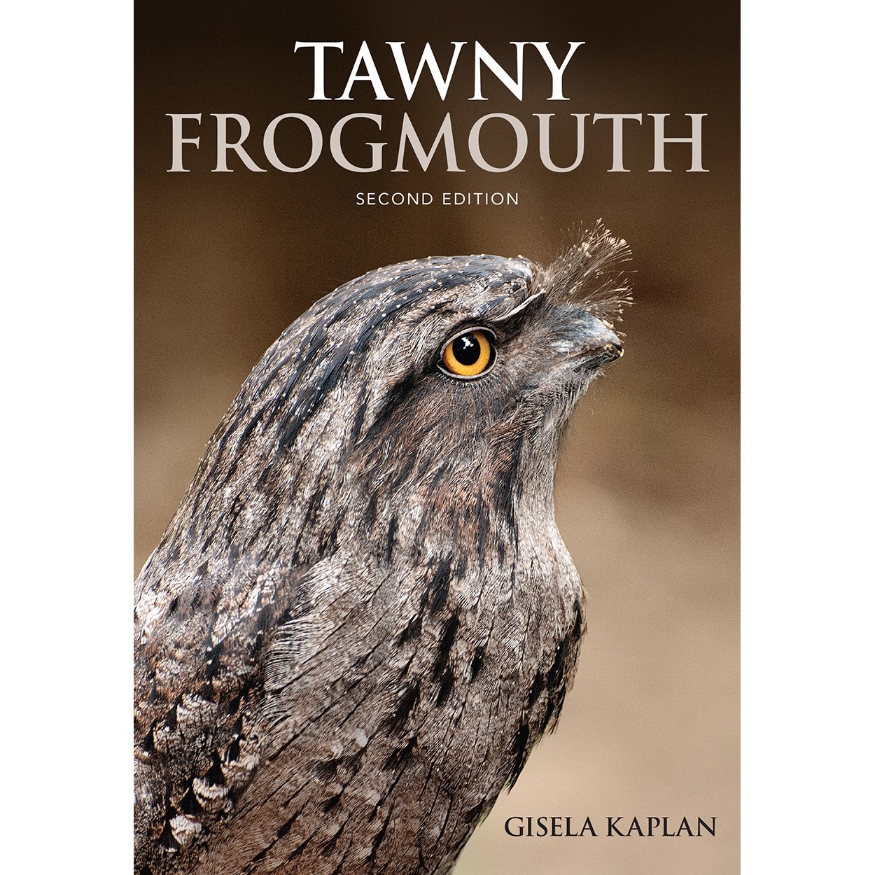 Tawny Frogmouth