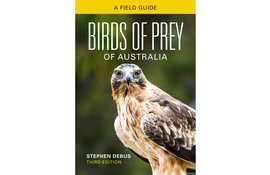 Birds of Prey of Australia