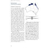 Birds of Prey of Australia - A Field Guide