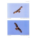 Birds of Prey of Australia - A Field Guide