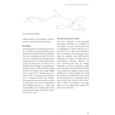 Birds of Prey of Australia - A Field Guide