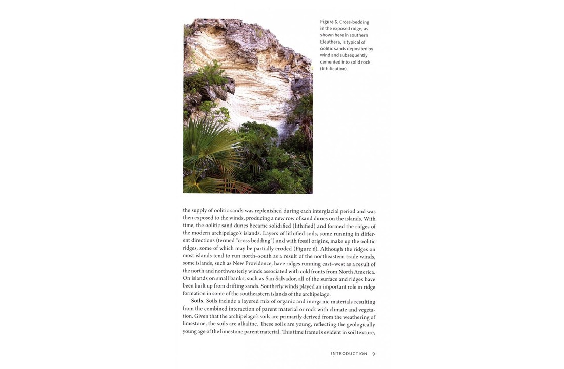 The Natural History of The Bahamas - A Field Guide