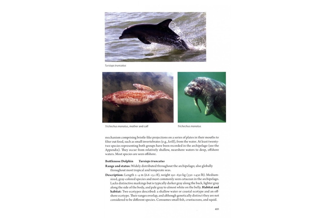 The Natural History of The Bahamas - A Field Guide