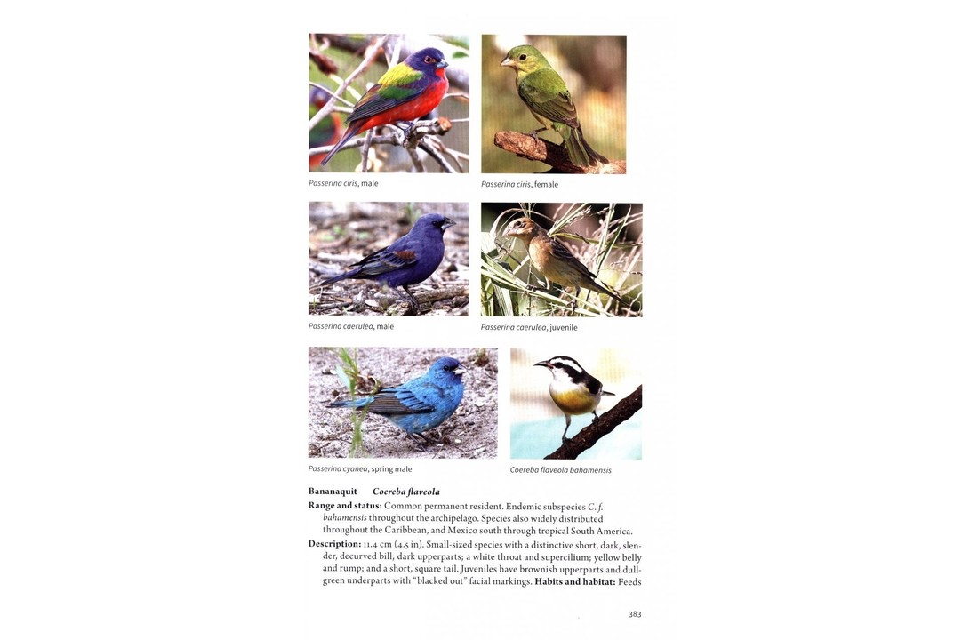 The Natural History of The Bahamas - A Field Guide
