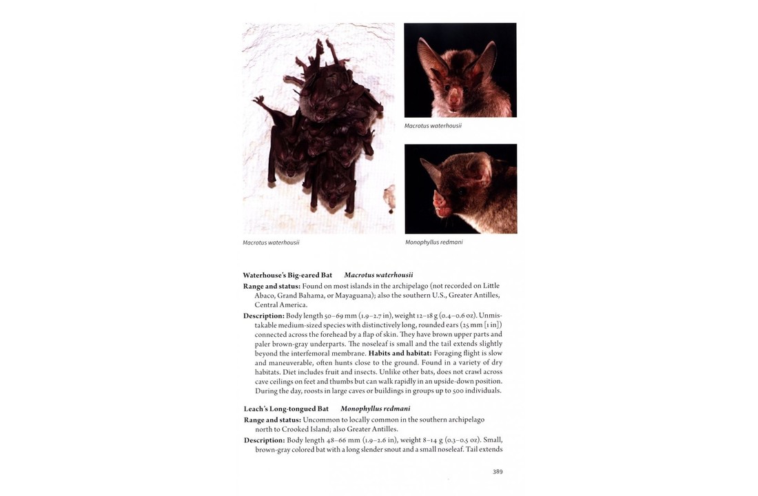 The Natural History of The Bahamas - A Field Guide