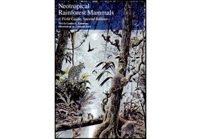 Neotropical Rainforest Mammals