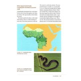 Snakes of Central and Western Africa