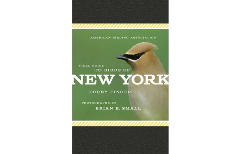 American Birding Association Field Guide to Birds of New York