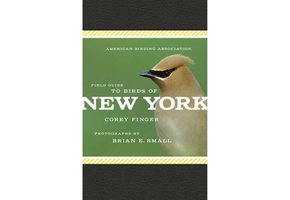 Field Guide to Birds of New York