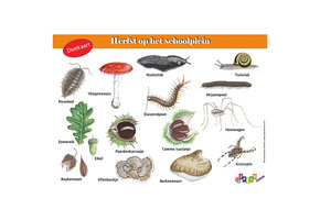 Doekaart Herfst op het schoolplein