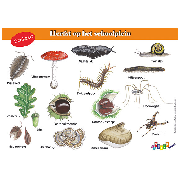 Doekaart Herfst op het schoolplein