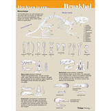 Edukaart Het Leven in een Braakbal