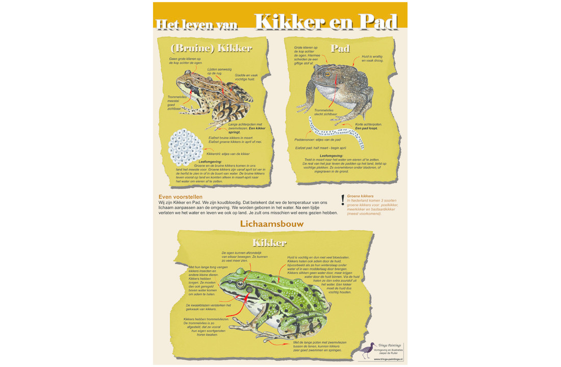 Edukaart Het Leven van Kikker en Pad