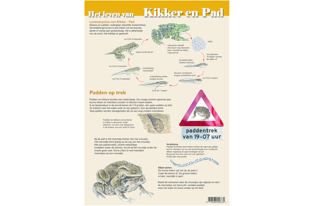 Edukaart Het Leven van Kikker en Pad