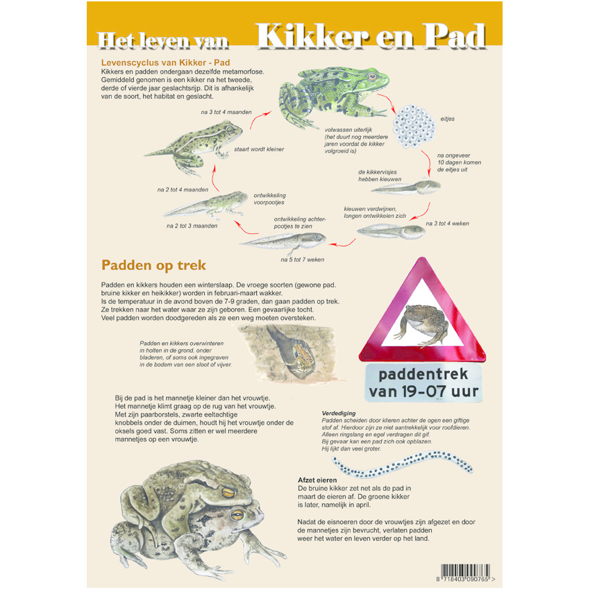 Edukaart Het Leven van Kikker en Pad