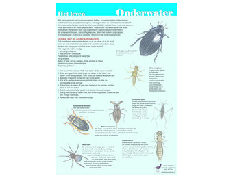 Edukaart Het Leven Onderwater