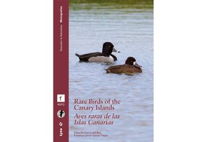 Rare Birds of the Canary Islands