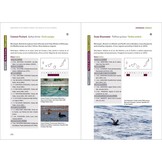 Rare Birds of the Canary Islands/Aves raras de las Islas Canarias