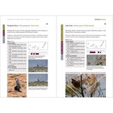 Rare Birds of the Canary Islands/Aves raras de las Islas Canarias