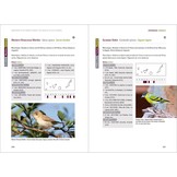 Rare Birds of the Canary Islands/Aves raras de las Islas Canarias